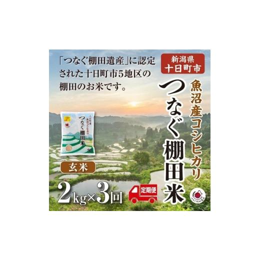 ふるさと納税 米 コシヒカリ 新潟県 十日町市 定期便/全3回 玄米2kg 令和7年産新潟県十日町市魚沼産コシヒカリ「つなぐ棚田米」 米 こしひかり 玄米 十日町…