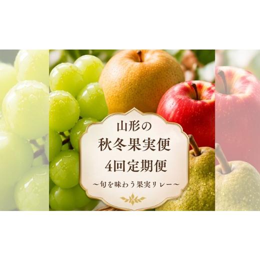 ふるさと納税 ぶどう マスカット 山形県 山形市 定期便4回 山形の秋冬果実便 〜旬を味わう果実リレー〜 FY26-227