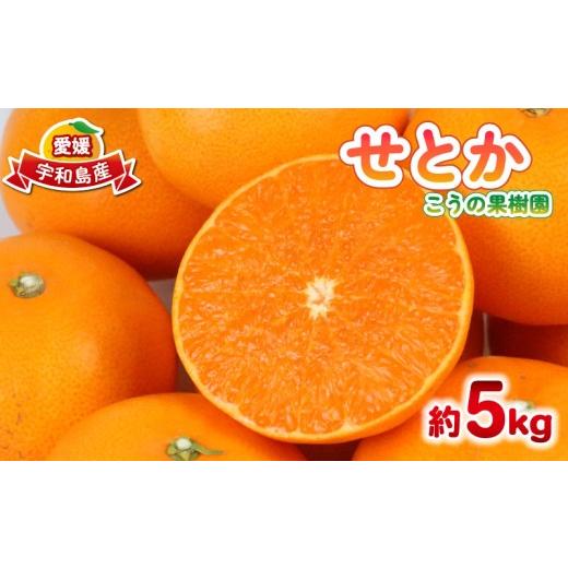 ふるさと納税 果物類 みかん 愛媛県 宇和島市 せとか 5kg こうの果樹園 高級柑橘 みかん ミカン 蜜柑 mikan 果物 くだもの フルーツ 柑橘 甘い 甘味 ブランド …