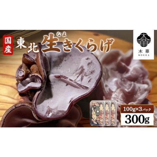 ふるさと納税 山菜・きのこ 宮城県 白石市 [国産]東北きくらげ 木華(もっか) 300g (100g×3パック) | きのこ 旬 国産きくらげ 生きくらげ 食物繊維 カルシウ…