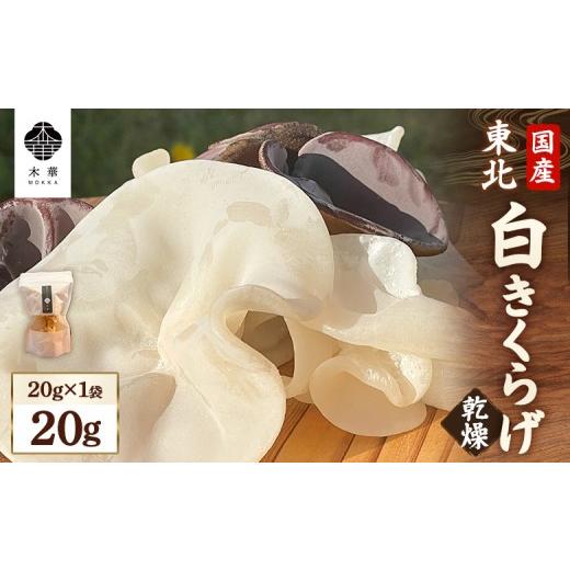 ふるさと納税 山菜・きのこ 宮城県 白石市 [国産]東北きくらげ 木華(もっか) 乾燥(白)20g(20g×1袋) | きのこ 国産きくらげ 乾燥きくらげ 白きくらげ 貴重 …