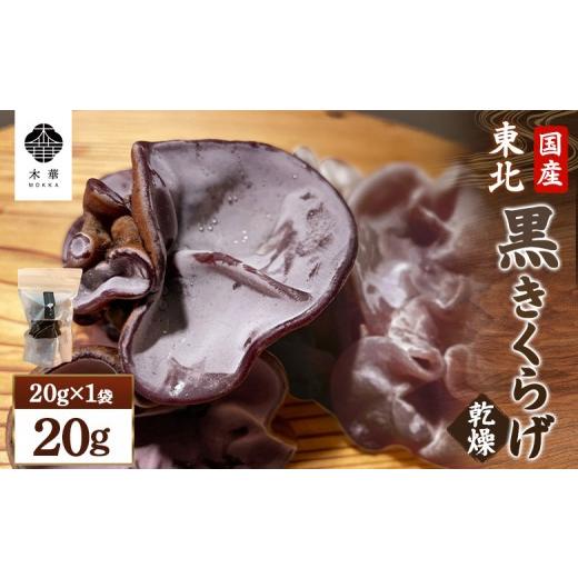 ふるさと納税 山菜・きのこ 宮城県 白石市 [国産]東北きくらげ 木華(もっか) 乾燥(黒)20g(20g×1袋) | 東北 宮城県 国産きくらげ 乾燥きくらげ 食物繊維 カ…