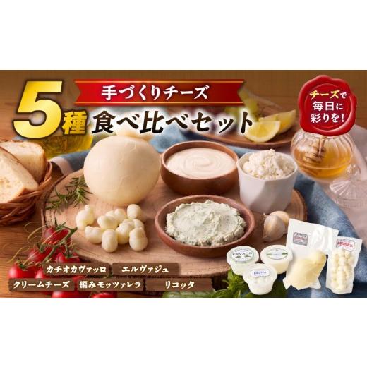 ふるさと納税 加工品等 チーズ 愛知県 西尾市 国産 サントルチオの手づくりチーズ5種食べ比べセット(カチオカヴァッロ(カチョカバロ)・リコッタ・編みモッツ…