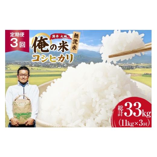 ふるさと納税 米 コシヒカリ 長野県 池田町 俺の米 米 定期便 3回 令和8年 コシヒカリ 無洗米 11kg 計 33kg 薄井 大地 長野県 池田町 48110942 お米 おこめ …
