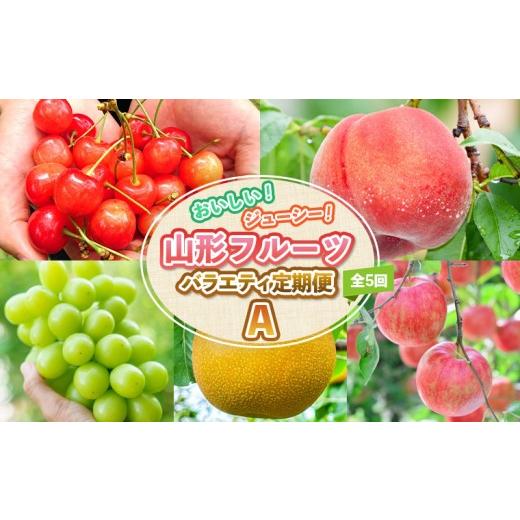 ふるさと納税 果物類 さくらんぼ 山形県 山形市 定期便5回 おいしい ジューシー 山形フルーツ バラエティ定期便A FY26-216