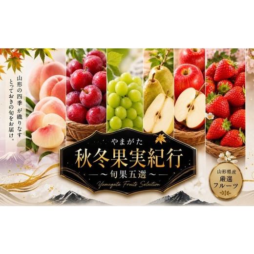 ふるさと納税 もも 山形県 山形市 定期便5回 やまがた秋冬果実紀行 〜旬果五選〜 FY26-229