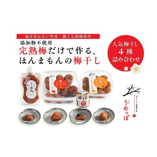 ふるさと納税 加工品等 梅干 福井県 おおい町 おおい町産の希少品種の完熟梅 昔ながらの梅干 いろいろセット 紅映梅 希少品種 樹上完熟 昔ながら 梅農家が作…