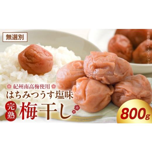 ふるさと納税 加工品等 梅干 和歌山県 湯浅町 紀州南高梅使用 はちみつうす塩味 完熟梅干し 無選別 800g はちみつ うす塩味 完熟 紀州 南高梅 梅干し 梅本来の…