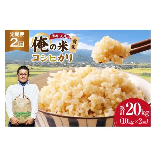 ふるさと納税 米 コシヒカリ 長野県 池田町 俺の米 米 定期便 2回 令和8年 コシヒカリ 玄米 10kg 計 20kg 薄井 大地 長野県 池田町 48110947 お米 おこめ こ…