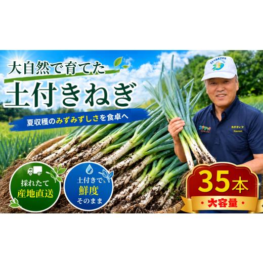 ふるさと納税 野菜類 ねぎ 岩手県 一関市 大自然で育てた 長ねぎ 土付き 35本 家庭用 訳あり 産地直送 ねぎ 長ネギ 長葱 白ねぎ 白ネギ 白葱 ネギ 葱 野菜 採…