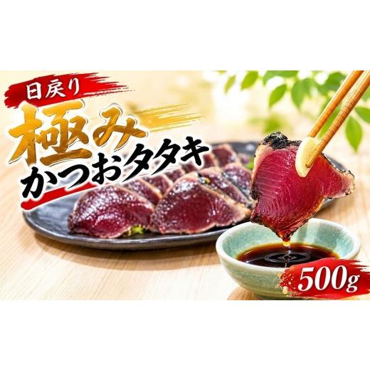 ふるさと納税 カツオ 高知県 安田町 極み カツオのたたき 日戻り 5% 250g×2節 鰹のタタキ かつおたたき 鰹たたき 塩タタキ 冷凍 個包装 魚介 魚貝 魚 旬 戻…