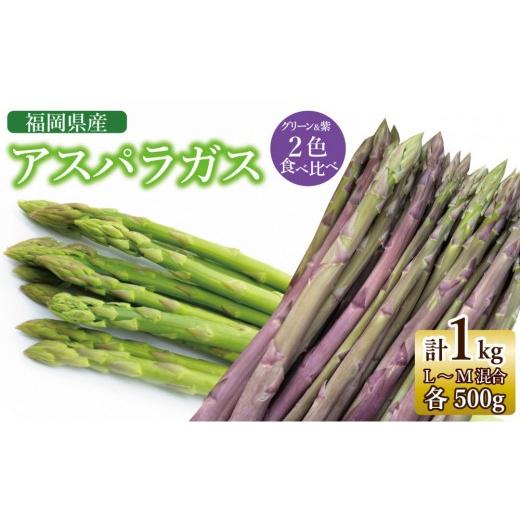 ふるさと納税 野菜類 アスパラガス 福岡県 大川市 2026年7月以降出荷 福岡県産アスパラガス 夏芽 紫・緑セット (L-Mサイズ混合 計1kg)