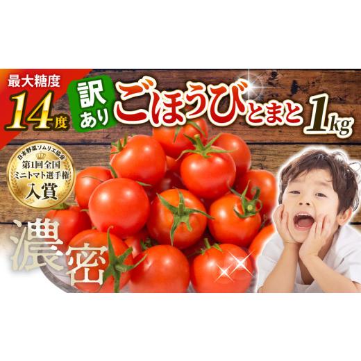 ふるさと納税 トマト ミニトマト 埼玉県 羽生市 先行予約 訳あり トマト 高糖度 甘い 1kg フルーツトマト ミニトマト 野菜 果物 濃厚 産地直送 とれたて 徳用…