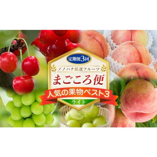 ふるさと納税 果物類 さくらんぼ 山形県 山形市 定期便3回 ノノハナ厳選フルーツ まごころ便 人気の果物ベスト3 ライト FY26-217