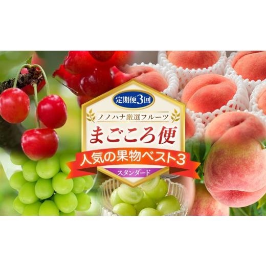 ふるさと納税 果物類 さくらんぼ 山形県 山形市 定期便3回 ノノハナ厳選フルーツ まごころ便 人気の果物ベスト3 スタンダード FY26-218