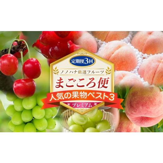 ふるさと納税 果物類 さくらんぼ 山形県 山形市 定期便3回 ノノハナ厳選フルーツ まごころ便 人気の果物ベスト3 プレミアム FY26-219