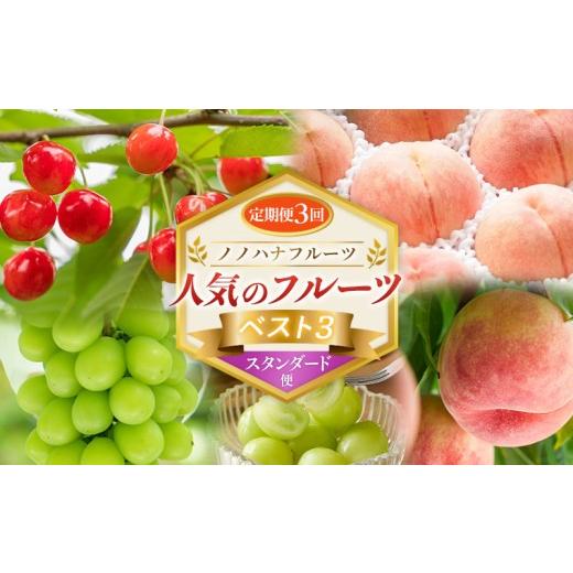 ふるさと納税 果物類 さくらんぼ 山形県 山形市 定期便3回 ノノハナフルーツ 人気のフルーツベスト3 スタンダード便 FY26-223