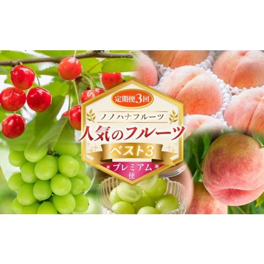 ふるさと納税 果物類 さくらんぼ 山形県 山形市 定期便3回 ノノハナフルーツ 人気のフルーツベスト3 プレミアム便 FY26-224