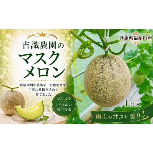 ふるさと納税 メロン メロン青肉 兵庫県 福崎町 マスクメロン「パノン」1玉 農薬不使用栽培 贈答用 化粧箱入り 1玉