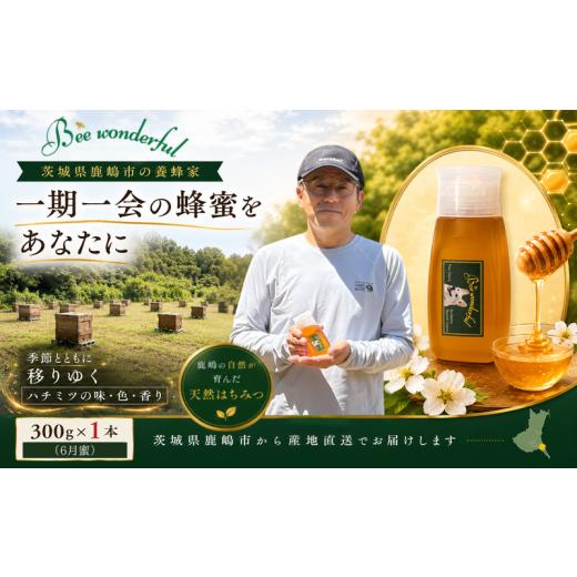 ふるさと納税 加工品等 はちみつ 茨城県 鹿嶋市 はちみつ 百花蜜 養蜂 自家採蜜 非加熱 無添加 蜂蜜 産地直送 300g×1個 贈答用 贈答 ハニー 国産 プレゼント …