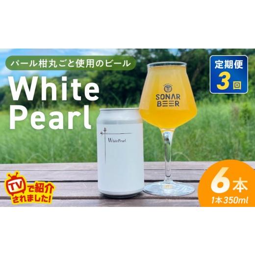 ふるさと納税 ビール 地ビール 熊本県 天草市 S118-002-T03_ 定期便3回 White Pearl 6本 3回定期便