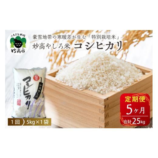 ふるさと納税 米 コシヒカリ 新潟県 妙高市 先行予約 令和8年産 5ヵ月定期便 新潟県 妙高やしろ米 コシヒカリ25kg (5kg×5回) 11月中旬より発送 定期便 お米 …