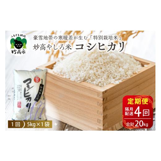 ふるさと納税 米 コシヒカリ 新潟県 妙高市 先行予約 令和8年産 定期便:隔月4回 新潟県 妙高やしろ米 コシヒカリ20kg (5kg×4回) 11月中旬より発送 定期便 …