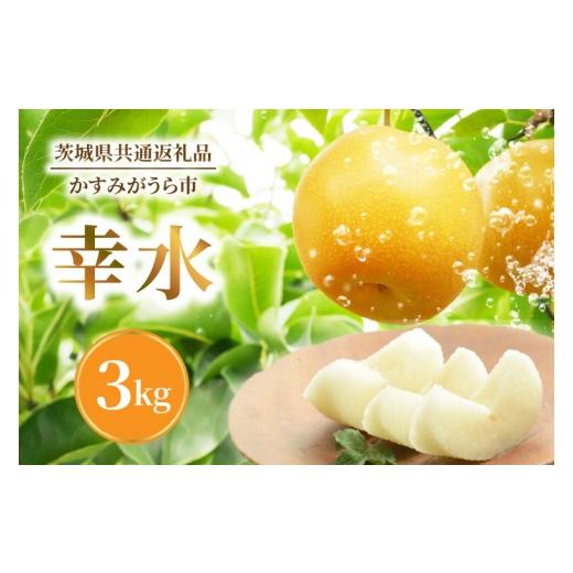 ふるさと納税 梨 茨城県 水戸市 8月上旬より発送 数量限定 採れたて 梨 幸水 3kg(茨城県共通返礼品/かすみがうら市)果物 くだもの フルーツ なし ナシ 旬 …