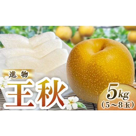 ふるさと納税 梨 鳥取県 倉吉市 王秋 進物 5kg(岸田秀果園) 鳥取 梨 なし ナシ 果物 フルーツ 和梨 王秋 おうしゅうなし 人気 進物 贈答用