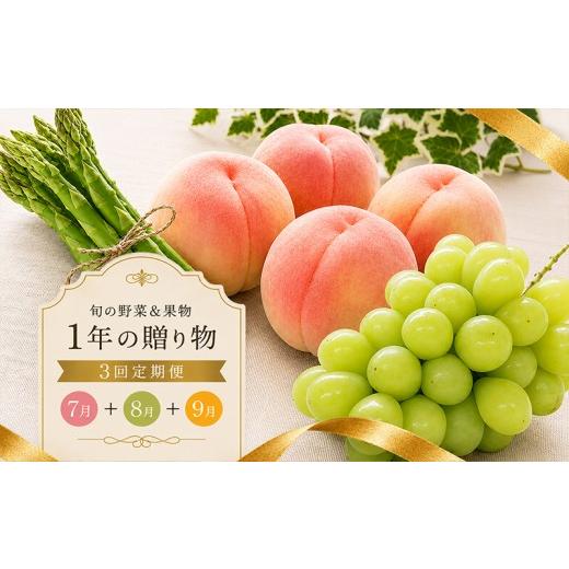 ふるさと納税 ぶどう マスカット 香川県 丸亀市 定期便 3回 シャインマスカット 桃 アスパラ ぶどう さぬきのめざめ アスパラガス 果物 野菜 フルーツ 旬 旬の…