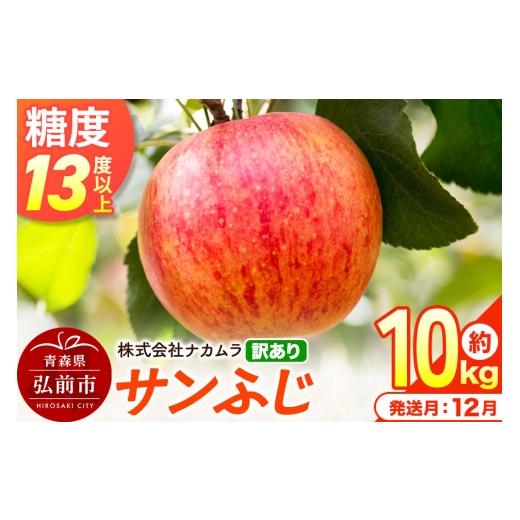 ふるさと納税 りんご 青森県 弘前市 26年12月発送 りんご サンふじ 訳あり 約10kg(28〜46玉程度)糖度13度以上 先行受付 青森県産 林檎 リンゴ 果物 くだも…