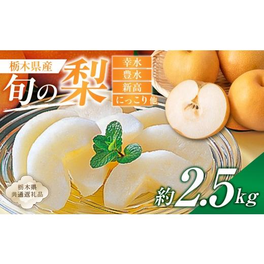 ふるさと納税 梨 栃木県 那須塩原市 栃木県産 旬の梨 約2.5kg 栃木県共通返礼品 ns110-002-1 梨 幸水 豊水 新高 にっこり フルーツ 果物 旬