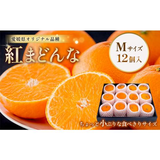 ふるさと納税 果物類 みかん 愛媛県 西条市 紅まどんな Mサイズ 12個入 愛媛県産 西条市 (JA東予園芸) 先行予約 11月下旬〜12月発送 | まどんな 紅まどんな…