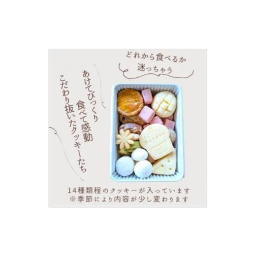 ふるさと納税 焼菓子・チョコレート クッキー 大阪府 高石市 贈答品 食べだしたら止まらない ポルドットのプティ缶 1752195