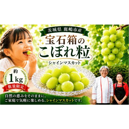 ふるさと納税 ぶどう マスカット 茨城県 鹿嶋市 シャインマスカット 先行予約 ぶどう 数量限定 粒どり 約1kg 産地直送 国産 訳あり こぼれ粒 粒 つぶ 葡萄 こ…