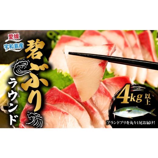 ふるさと納税 旬の鮮魚等 愛媛県 宇和島市 鰤 ぶり ブリ 碧ぶり 活締め ラウンド 4kg 南予ビージョイ 冷蔵 活〆 丸々 1尾 buri 碧鰤 ブランド 養殖ぶり 養殖鰤…