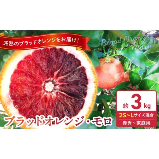 ふるさと納税 みかん・柑橘類 オレンジ 和歌山県 湯浅町 2027年先行予約 庄助農園 ブラッドオレンジ モロ 約 3kg サイズ混合 厳選採果 オレンジ コク 甘み 酸…
