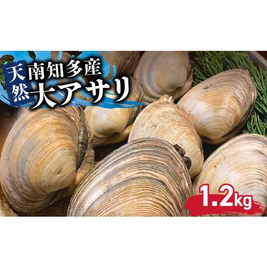 ふるさと納税 旬の鮮魚等 愛知県 南知多町 日間賀島産 大アサリ 1.2kg アサリ 貝類 魚介類 魚貝類 貝 あさり 愛知 南知多 海鮮 シーフード BBQ アウトドア 1.2…