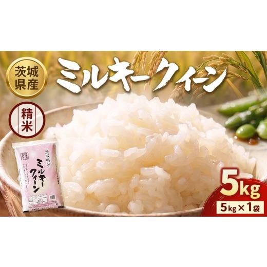 ふるさと納税 米 ミルキークイーン 茨城県 守谷市 令和7年産 茨城ミルキークイーン 5kg×1袋 精米 | お米 米 ミルキークィーン 茨城県産 白米 もちもち お弁…