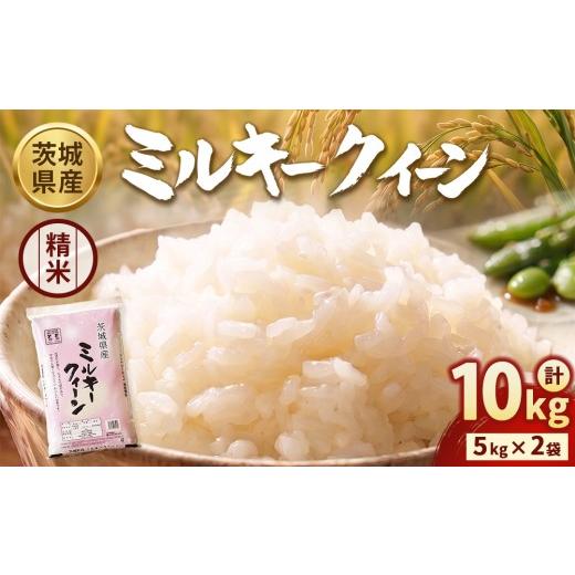 ふるさと納税 米 ミルキークイーン 茨城県 守谷市 令和7年産 茨城ミルキークイーン 10kg(5kg×2袋) 精米 | お米 米 ミルキークィーン 茨城県産 白米 もちも…