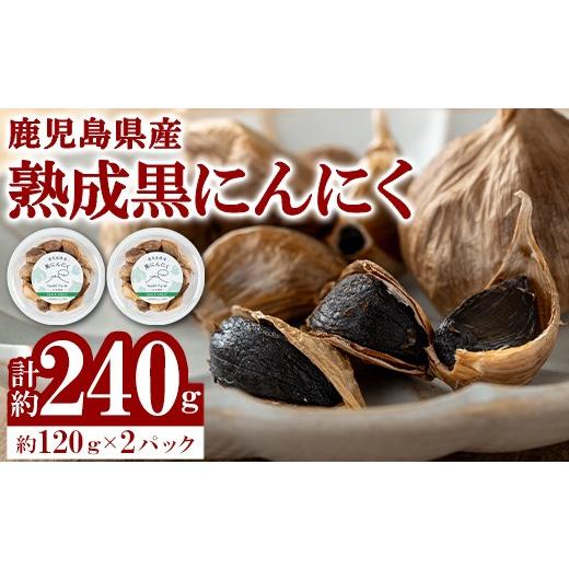 ふるさと納税 野菜類 鹿児島県 肝付町 A93002 農家直送 鹿児島県産 熟成 黒にんにく(計約240g・約120g×2パック) 鹿児島 国産 ニンニク 大蒜 ガーリック 野菜 …