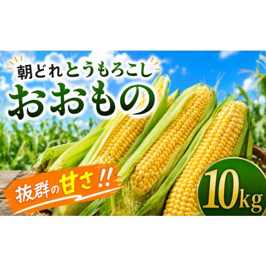 ふるさと納税 野菜類 千葉県 香取市 とうもろこし 約 10kg コーン おおもの 野菜 夏野菜 トウモロコシ とうきび もろこし 冷蔵 朝どれ 朝採れ 朝もぎ 新鮮 産…