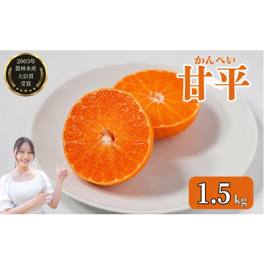 ふるさと納税 果物類 みかん 愛媛県 愛南町 先行予約 数量限定 甘平 約1.5kg みかん 蜜柑 柑橘 果物 フルーツ 高級 人気 糖度 ブランド 国産 減農薬 除草剤不…