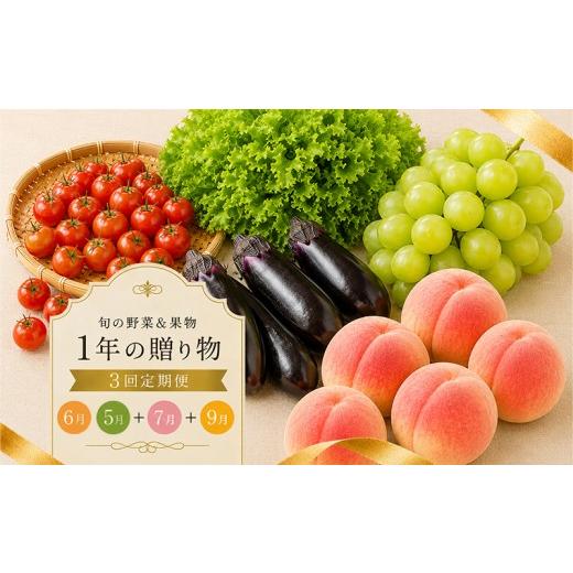 ふるさと納税 ぶどう マスカット 香川県 丸亀市 定期便 3回 シャインマスカット 桃 ぶどう 野菜 セット 旬の野菜 果物 フルーツ 旬 旬のフルーツ 贈答用 ギフ…