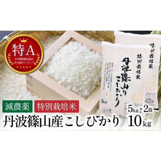 ふるさと納税 米 コシヒカリ 兵庫県 丹波篠山市 新米予約 令和8年産[スピード出荷] 特A 減農薬 特別栽培米こしひかり 5kg×2袋 計10kg お米 精米 コシヒカリ…