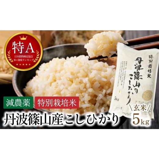 ふるさと納税 玄米 兵庫県 丹波篠山市 新米予約 令和8年産 特A 減農薬 玄米 特別栽培米こしひかり 5kg お米 コシヒカリ 丹波篠山産 コメ こめ お米 こしひかり…