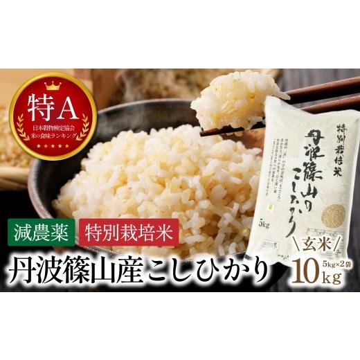 ふるさと納税 玄米 兵庫県 丹波篠山市 新米予約 令和8年産 特A 減農薬 玄米 特別栽培米こしひかり 10kg[5kg x 2袋] お米 コシヒカリ 丹波篠山産 コメ こめ …