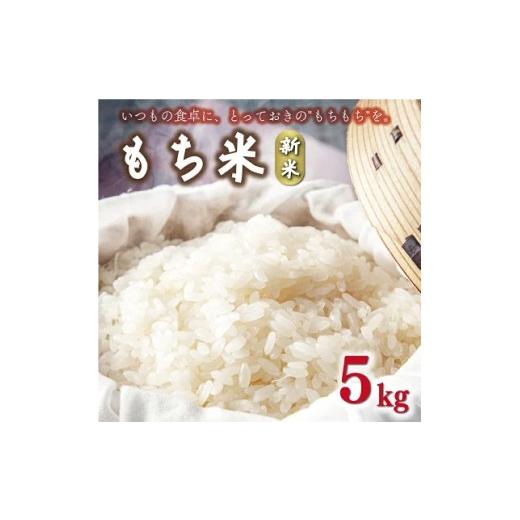 ふるさと納税 米・パン もち米 愛媛県 愛南町 令和8年産 新米 2026年産 もち米 5kg 愛媛県 愛南町産 農家直送 粘り 甘み 香り 別格 厳選 もちごめ お正月 お餅…