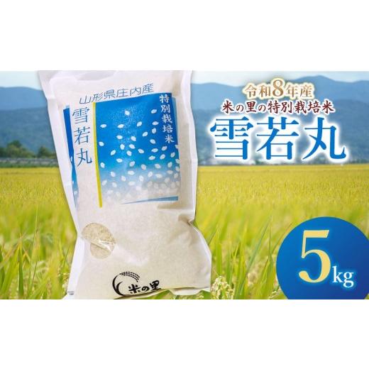 ふるさと納税 米 山形県 鶴岡市 令和8年産 米の里の特別栽培米 雪若丸 精米 5kg 山形県鶴岡市産 | 白米 特栽 2026年産 ブランド米 庄内 K-845