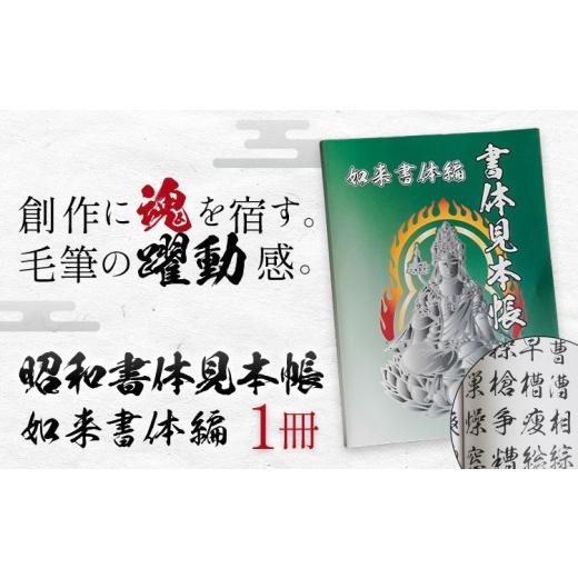 ふるさと納税 雑貨・日用品 本 鹿児島県 さつま町 昭和書体見本帳 書体 如来書体編 株式会社昭和書体[30日以内に出荷予定(土日祝除く)]鹿児島県 さつま町 書…